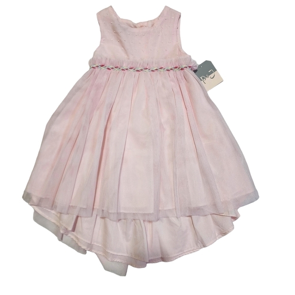 Pastourelle Other - NWT Pastourelle by Pippa & Julie Pink Hilo Lace Overlay Layered Dress - 2T